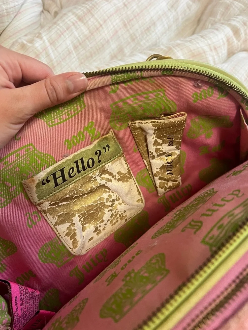 Vintage Juicy Couture pink and green Girl's Best Friend dog carrier